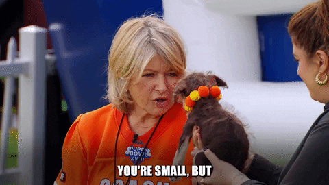 A woman talking to a puppy and saying, "You're small but good things come in small packages."