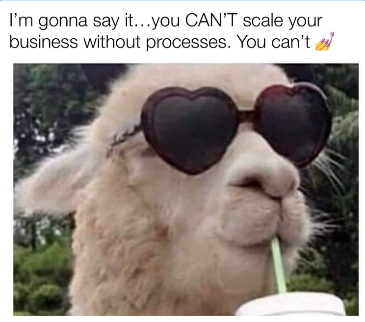 "I'm gonna say it... you CAN'T scale your businesses without processes. You can't"